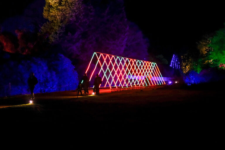 Knowsley Safari’s Enchanted Christmas light trail returns for 2026