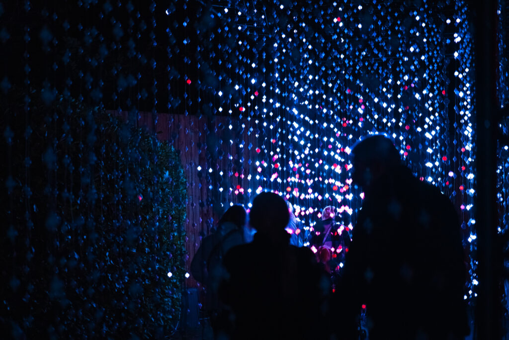 Chester Zoo Lanterns & Light returns with adults-only nights and new-look trail