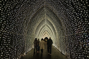 Chester Zoo Lanterns & Light returns with adults-only nights and new-look trail