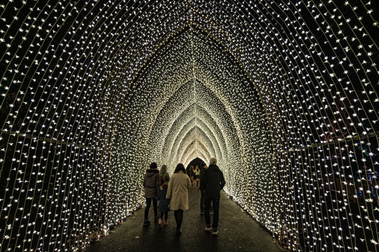 Chester Zoo Lanterns & Light returns with adults-only nights and new-look trail