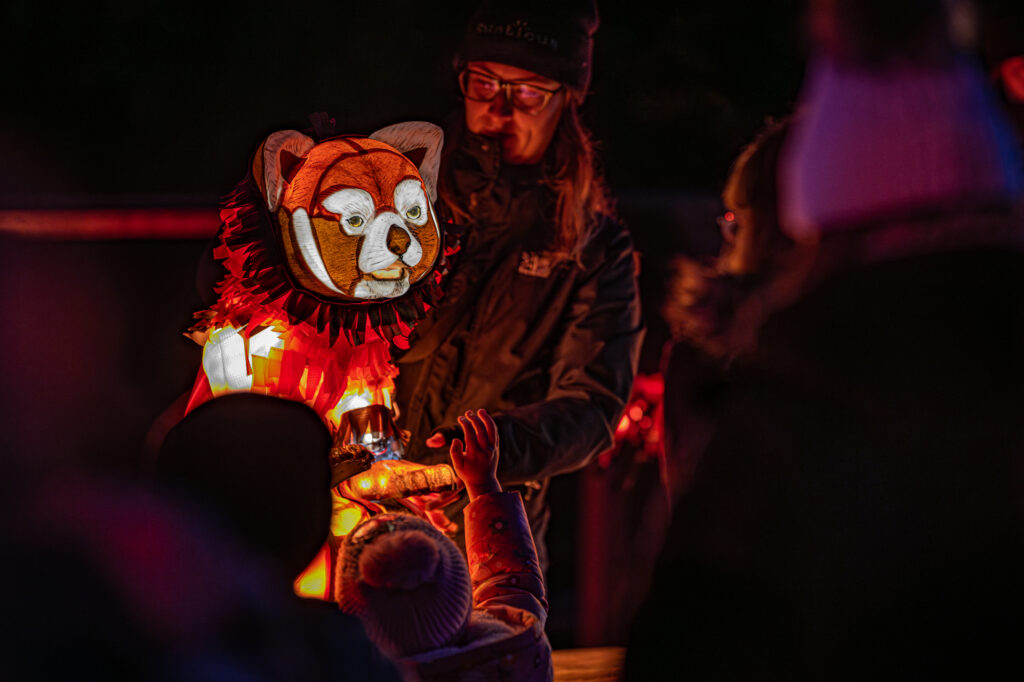 Chester Zoo Lanterns & Light returns with adults-only nights and new-look trail