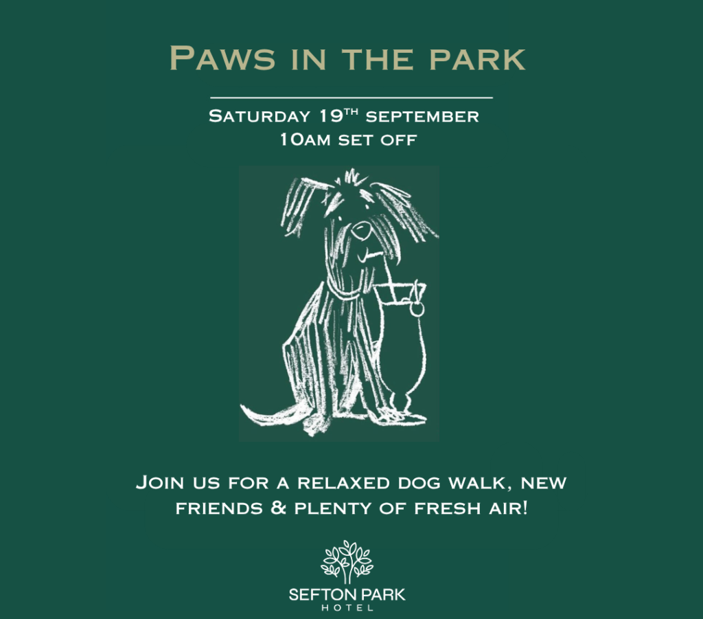 New monthly dog walking meet-up Paws in the Park launches in Liverpool