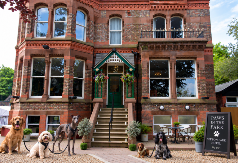 New monthly dog walking meet-up Paws in the Park launches in Liverpool