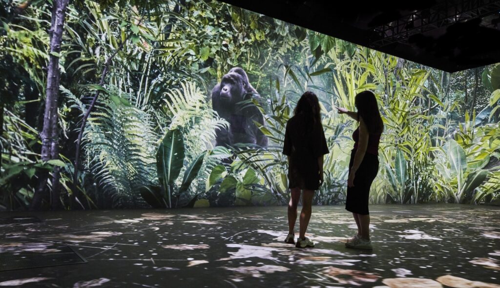 David Attenborough’s immersive Our Story experience is coming to Chester Zoo